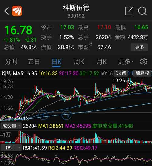 科斯伍德股票，小巷深处的独特投资传奇