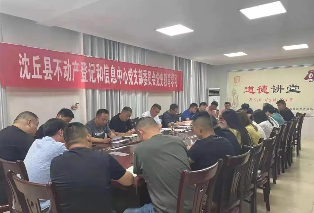 沈丘新闻最新动态，小巷深处的独特风味