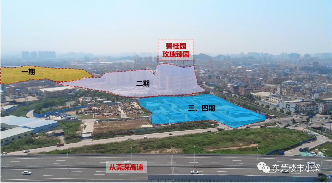 东莞市疫情最新动态，自然呼唤，心灵之旅的抗疫进展
